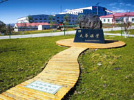 郴州天华矿业集团
