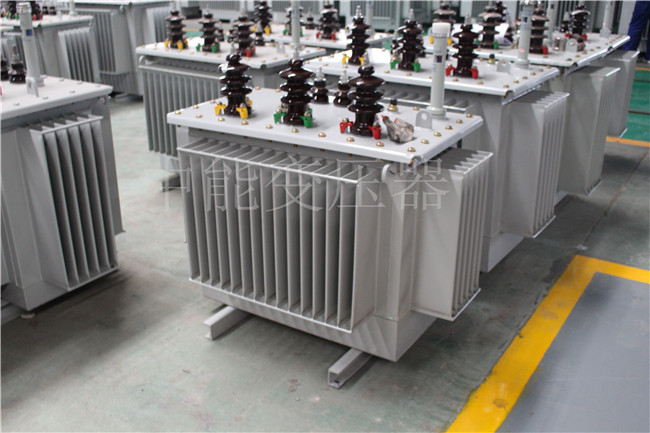 郴州S22-100KVA/10KV/0.4KV变压器